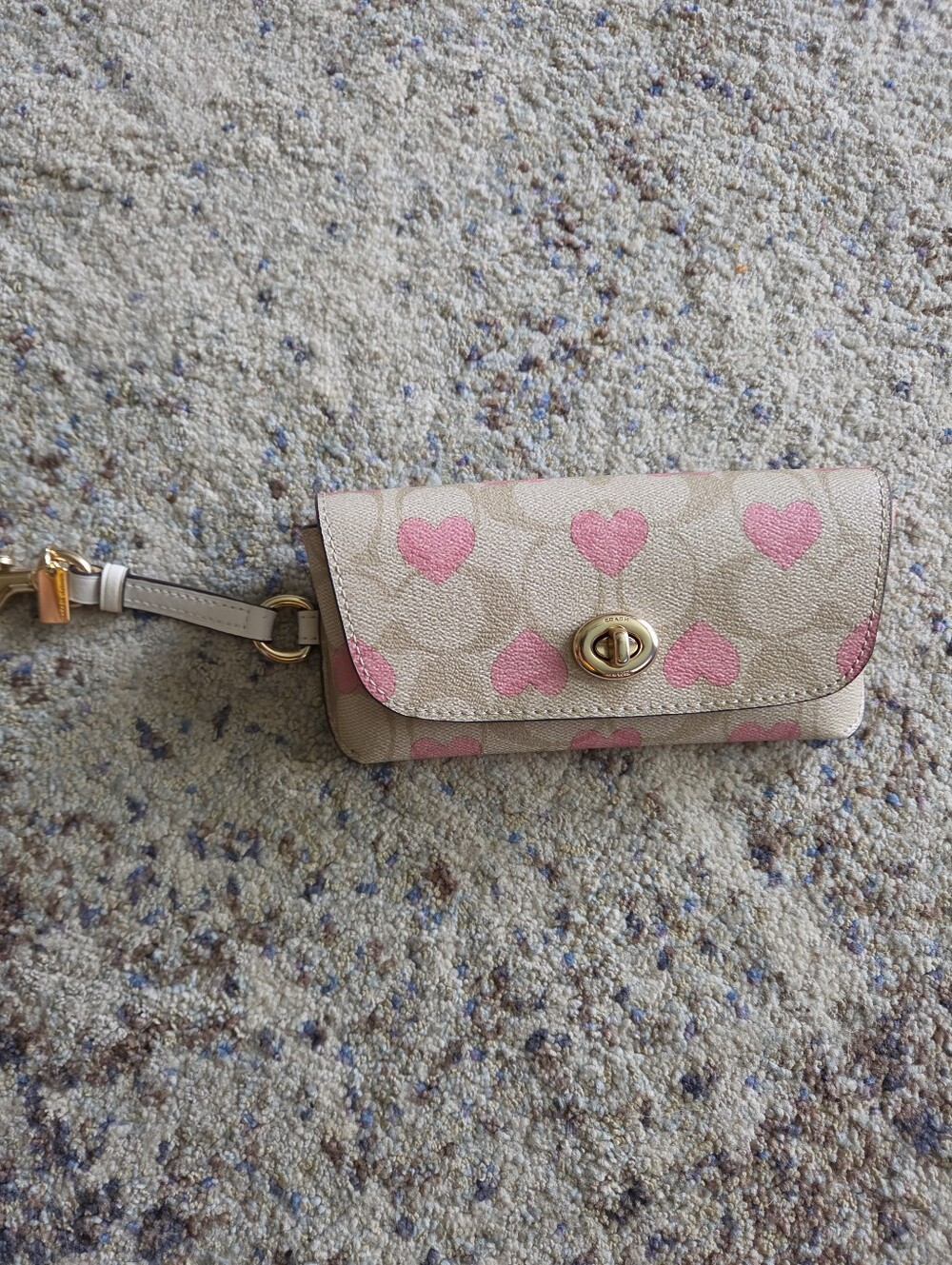 Coach Heart-Print Sunglasses Case - Picture 3 of 9